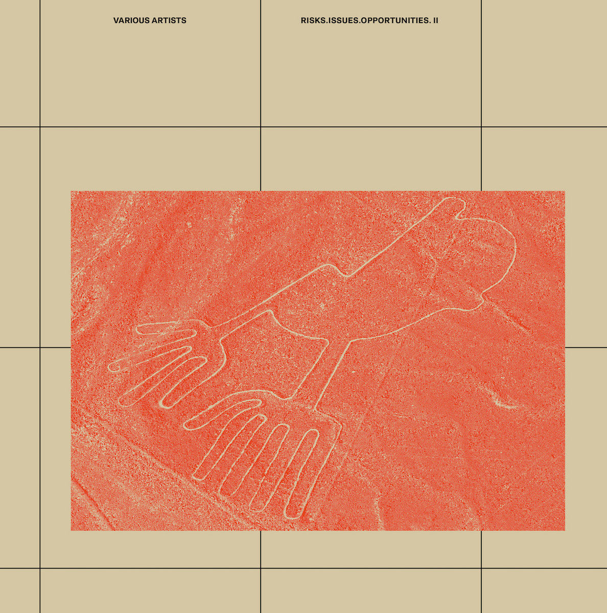 Risks Issues Opportunities II | Various Artists | R.i.O. Label