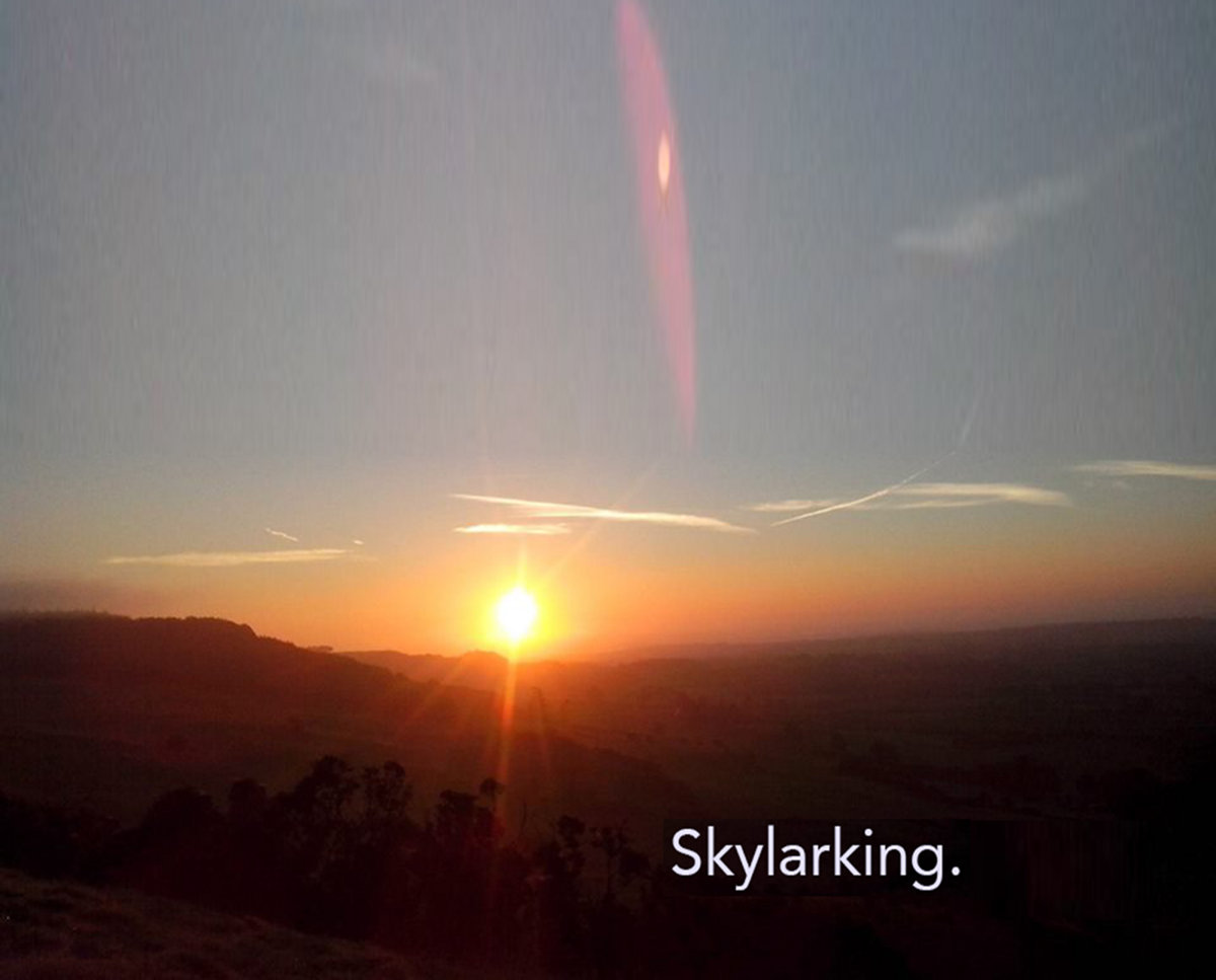 skylarking cover