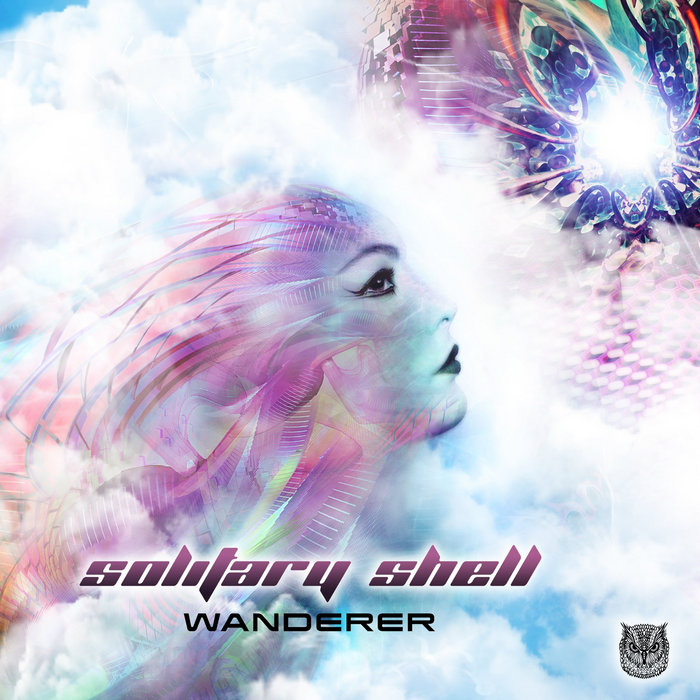 A Solitaire Shell Wanderer | Solitary Shell