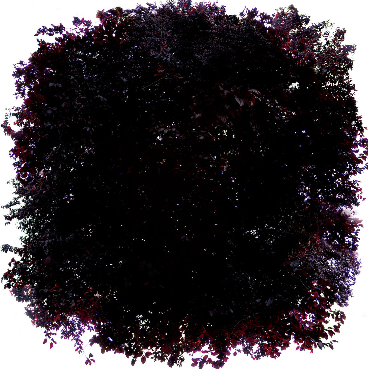 Pinhole
