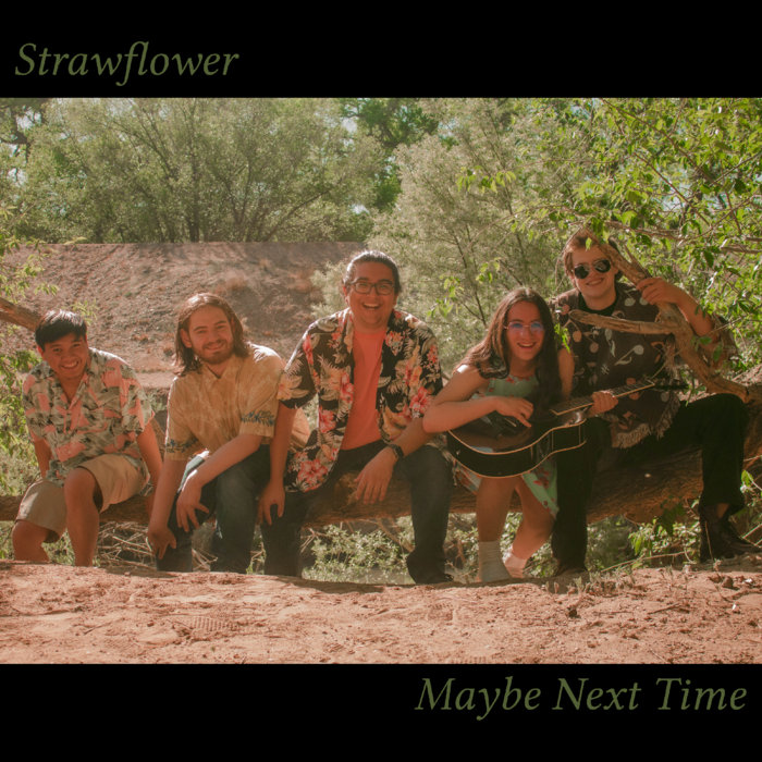 Maybe Next Time | Strawflower