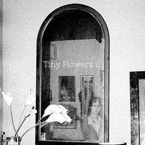 Tiny Flowers ii cover