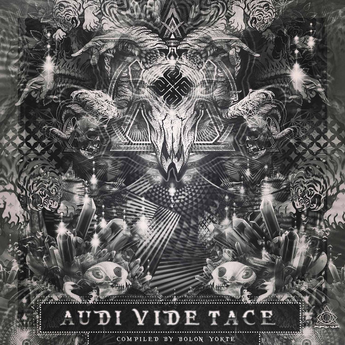 Audi vidi tace перевод