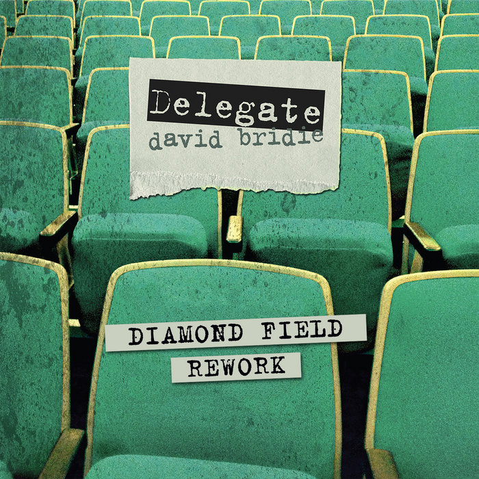 David Rework David Bridie 'Delegate' (Diamond Field Rework) | David Bridie | Diamond ...