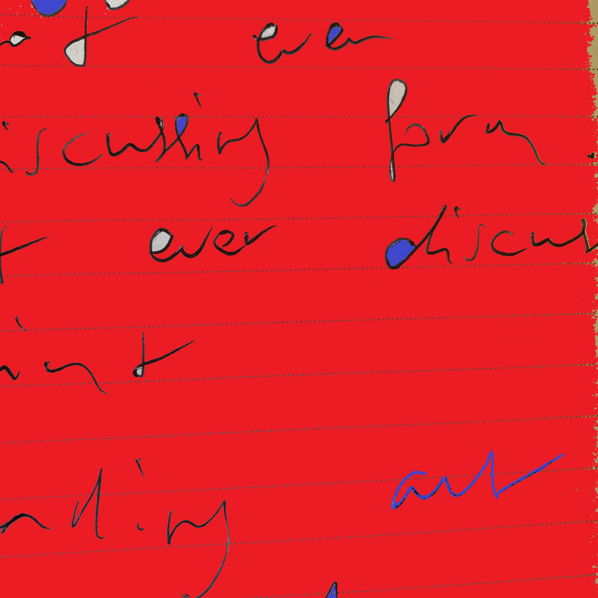 The Truth About That Parrot in a Submarine and Why You Cant Just Put Birds Underwater