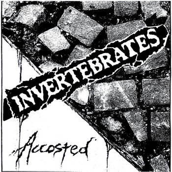 Invertebrates - Accosted