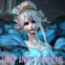 What Angel Wakes Me cover art