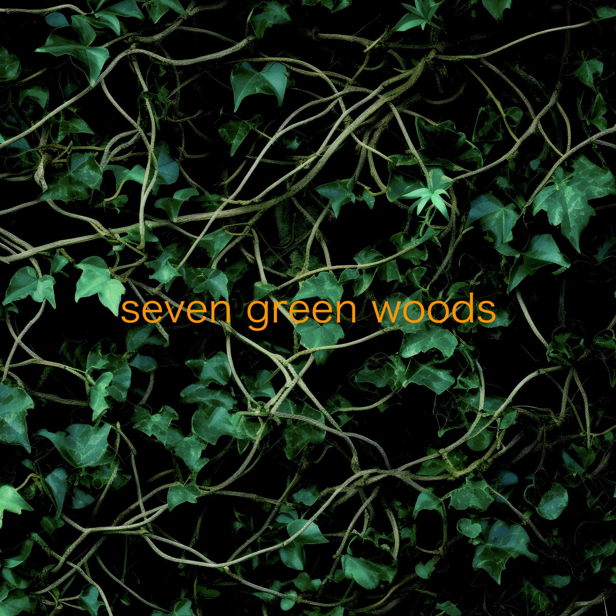Seven Green Woods cover