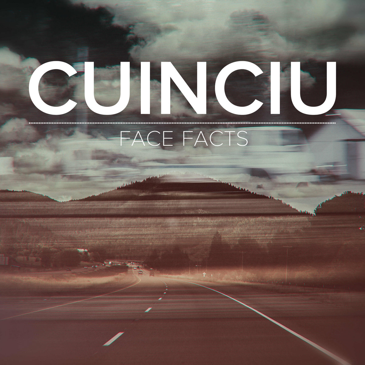 Face Facts cover