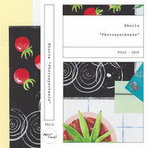 Photosynthesis cover art