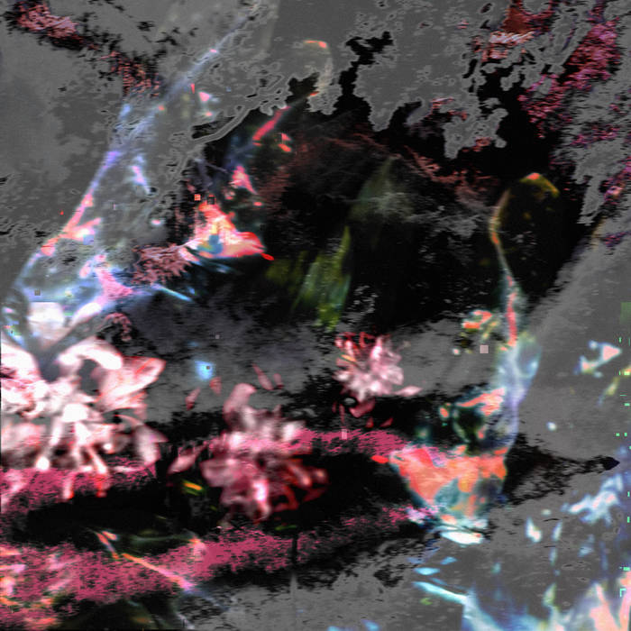 惜牡丹花 / regret for the peony flower | zz