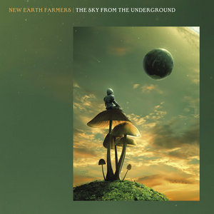 The Sky From The Underground cover