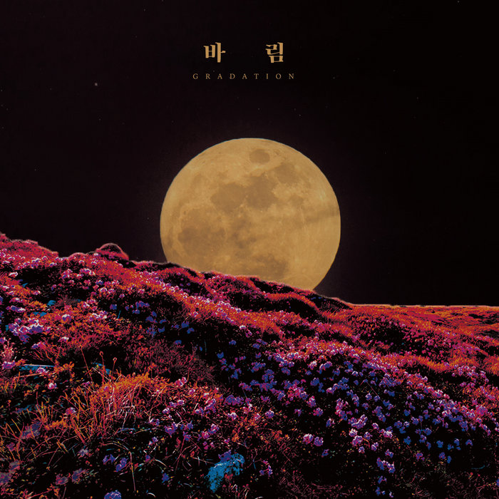 Gradation | Barim | gogeum