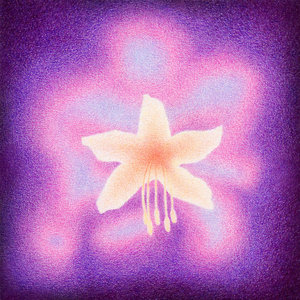 Briana Marela — Teardrop Star