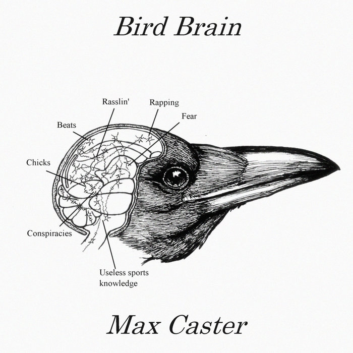 Bird Brain | Platinum Max