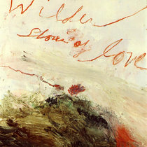 Wilder Shores of Love cover art