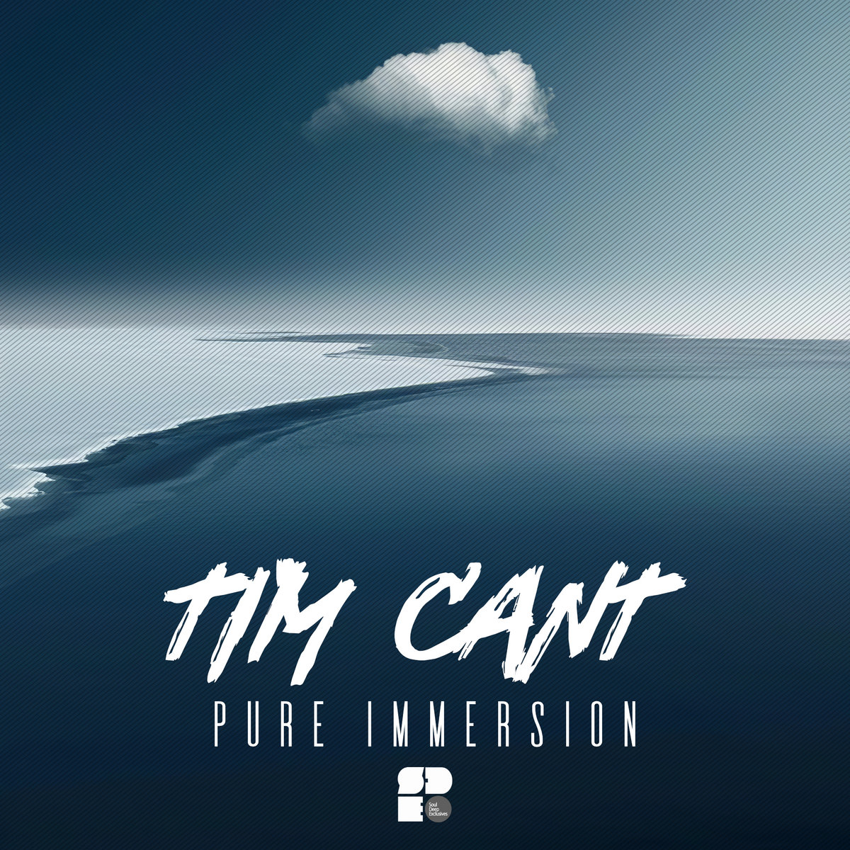 Tim Cant - Pure Immersion | Tim Cant | Soul Deep Recordings