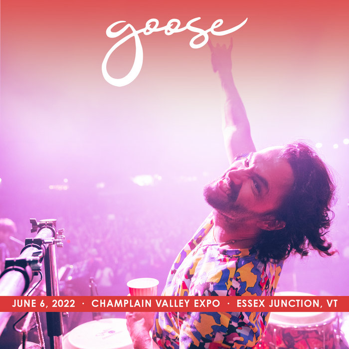 2022/06/06 Champlain Valley Exposition, Essex Junction, VT Goose