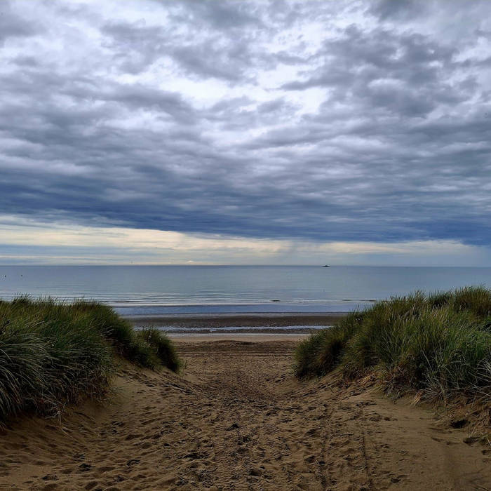 Lunch Food Donquièstar