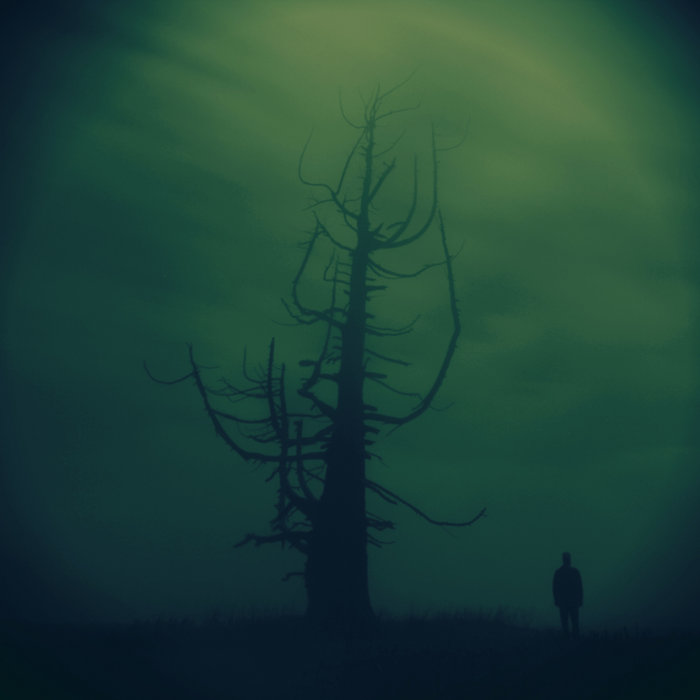 Growth In The Absence Of Light Pencarrow