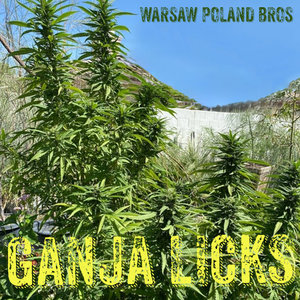 Ganja Licks cover