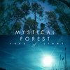 Mystical Forest Meditation - Tree of Light