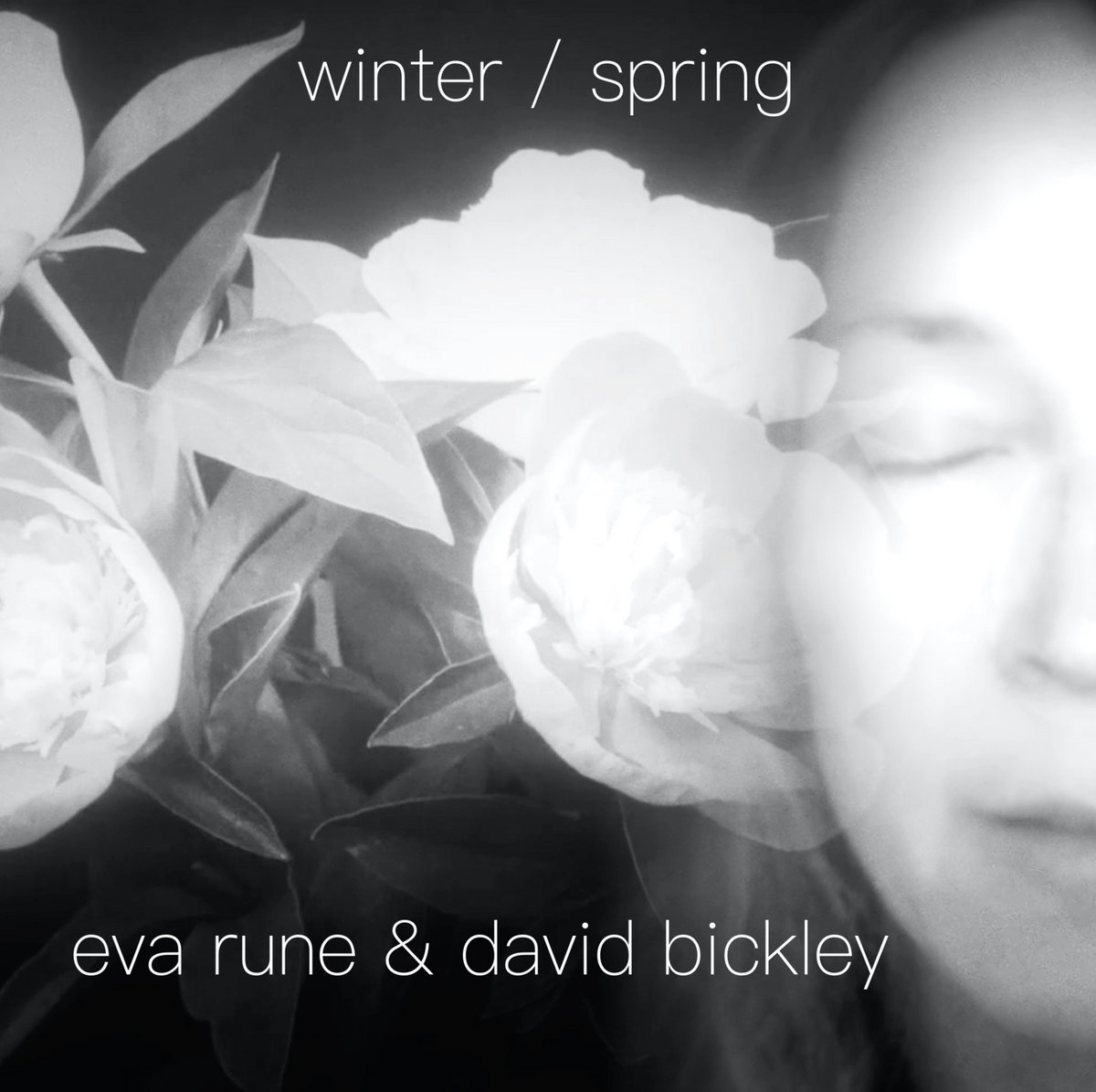 Winter / Spring cover