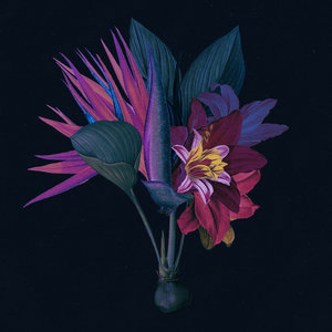 Kingdom (feat. North Downs) (Adesse Versions Remix) cover