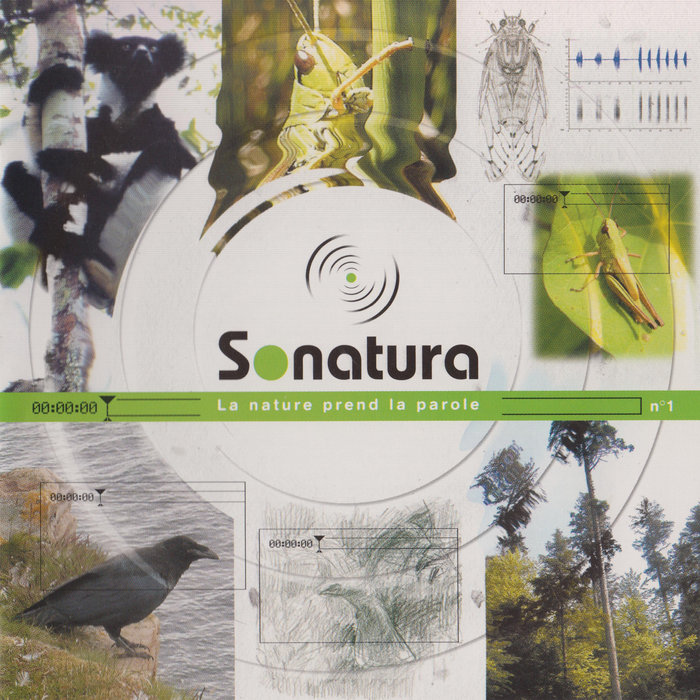 Sonatura n°01 | Sonatura