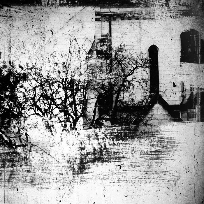 Absoute | MISERY
