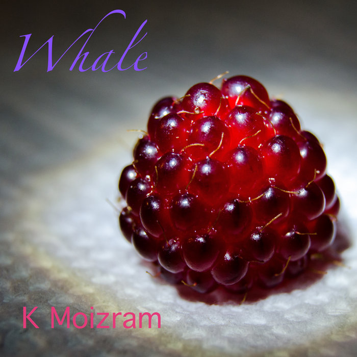 Banginis Banginis/Whale | K Moizram | Anvil Creations
