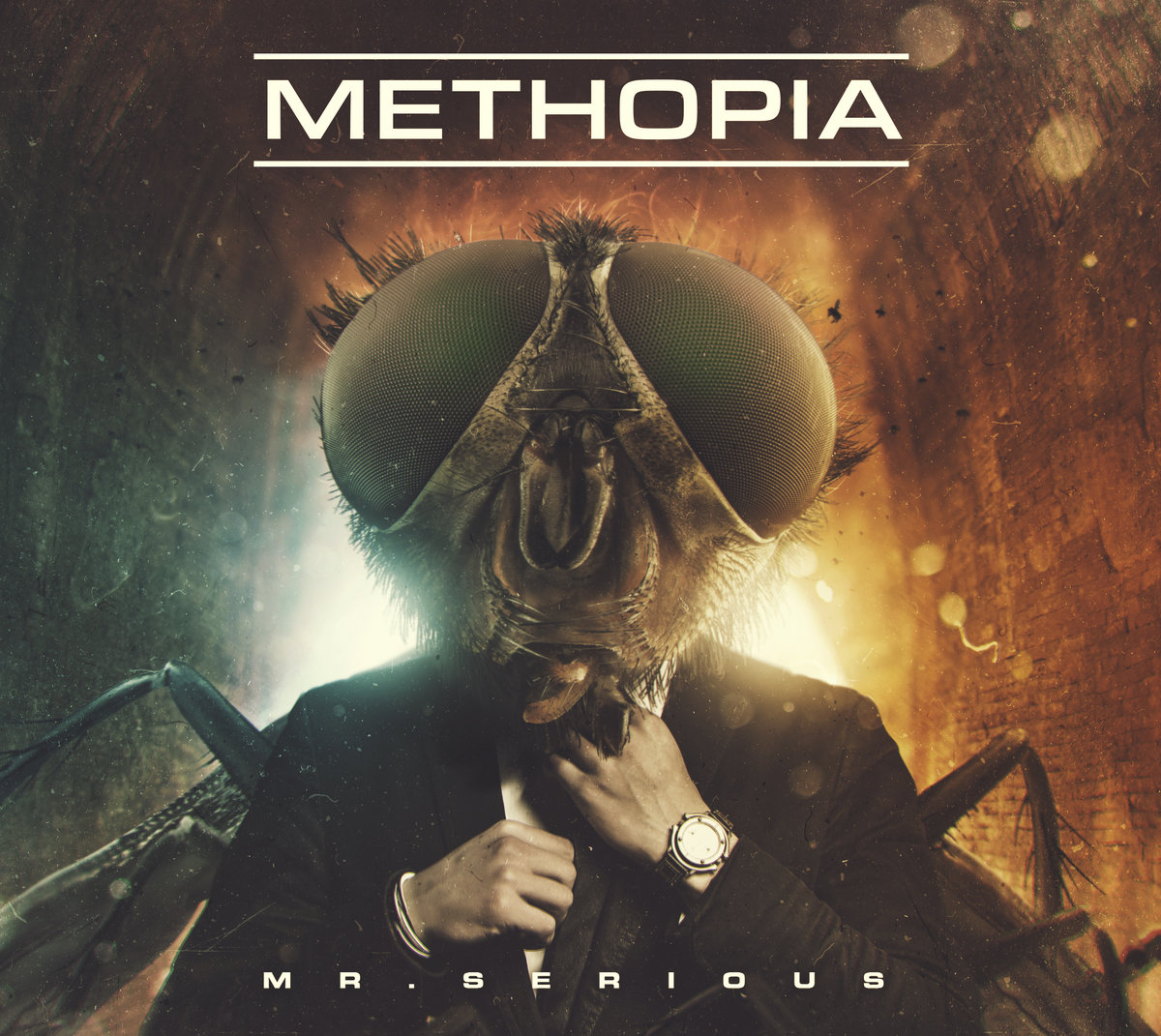 www.facebook.com/methopia