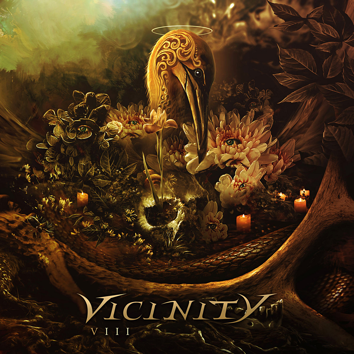 VIII | Vicinity
