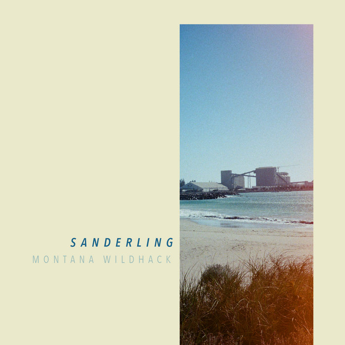 Sanderling Montana Wildhack