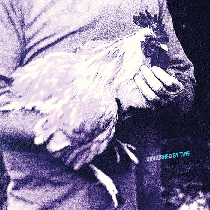 【おまとめ】【Bedtime】【Feeding the chickens】他２点 Catching Chickens EP | Nourished By Time