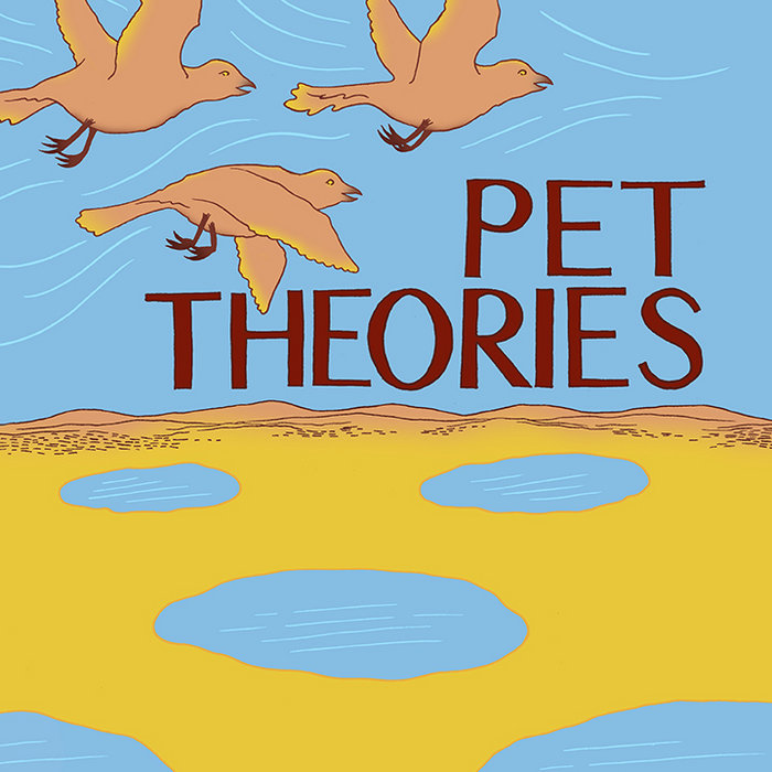 What is Pet Theory Diagram? What is Pet Theory Diagram?