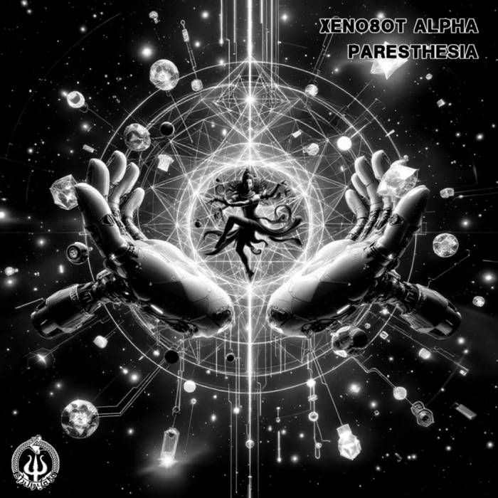 その他 Artbeats Digital Refractions EP - Xeno8ot Alpha - Paresthesia | Shunyata Records