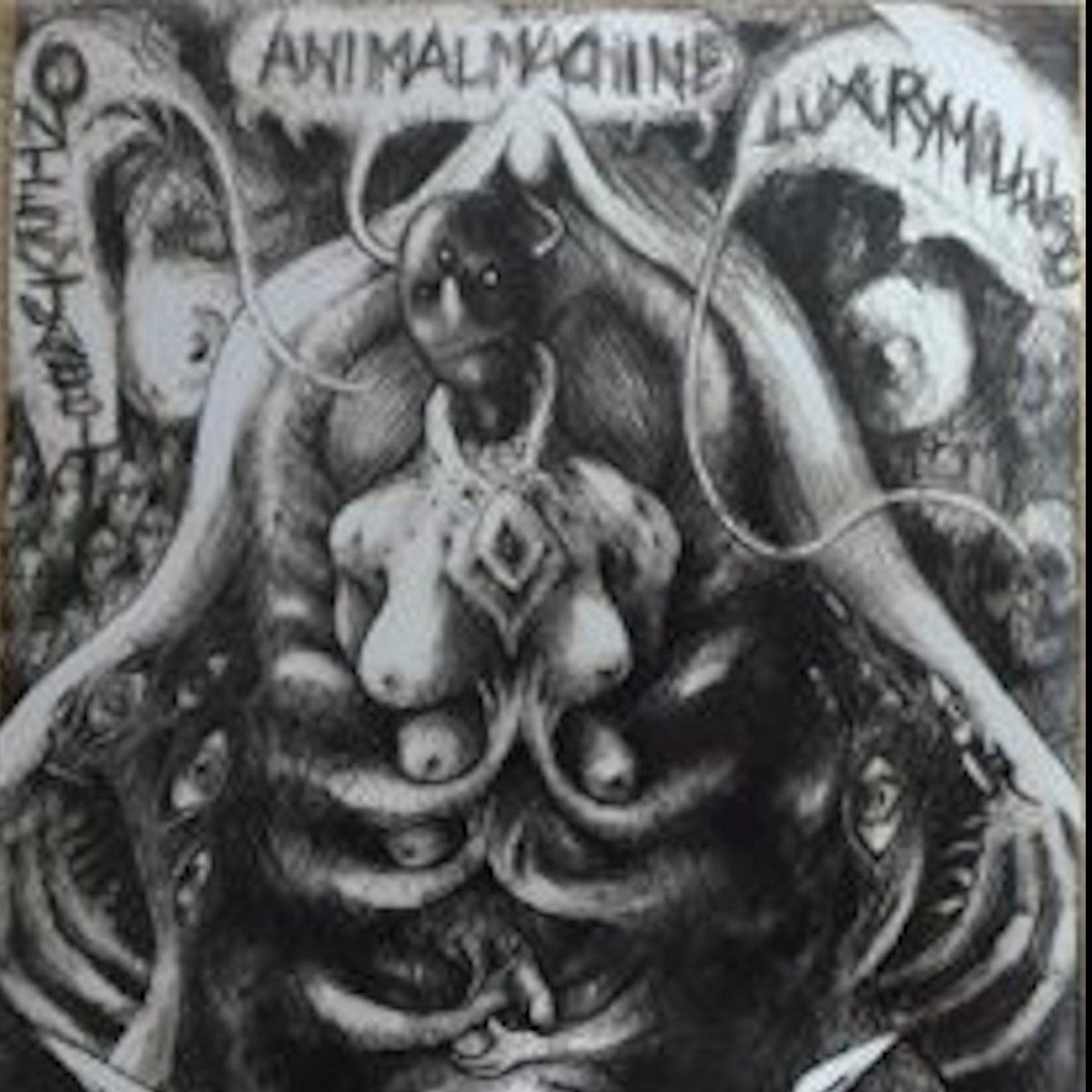 Archive: FISHING FOR CHALK LUNG BREATHING IS A CHORE WAX TUNDRA ( 2014 split with Ontervjabbit and Animal Machine on [&]) cover