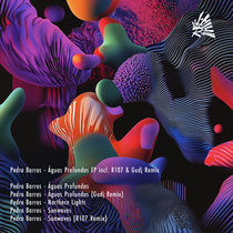 Pedro Barros — Águas Profundas incl. R107 & Gudj Remix RCV019
