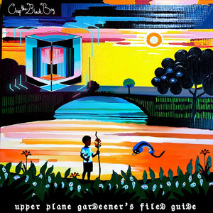 upper plane garDeener's fileD guiDeChip The Black Boy cover