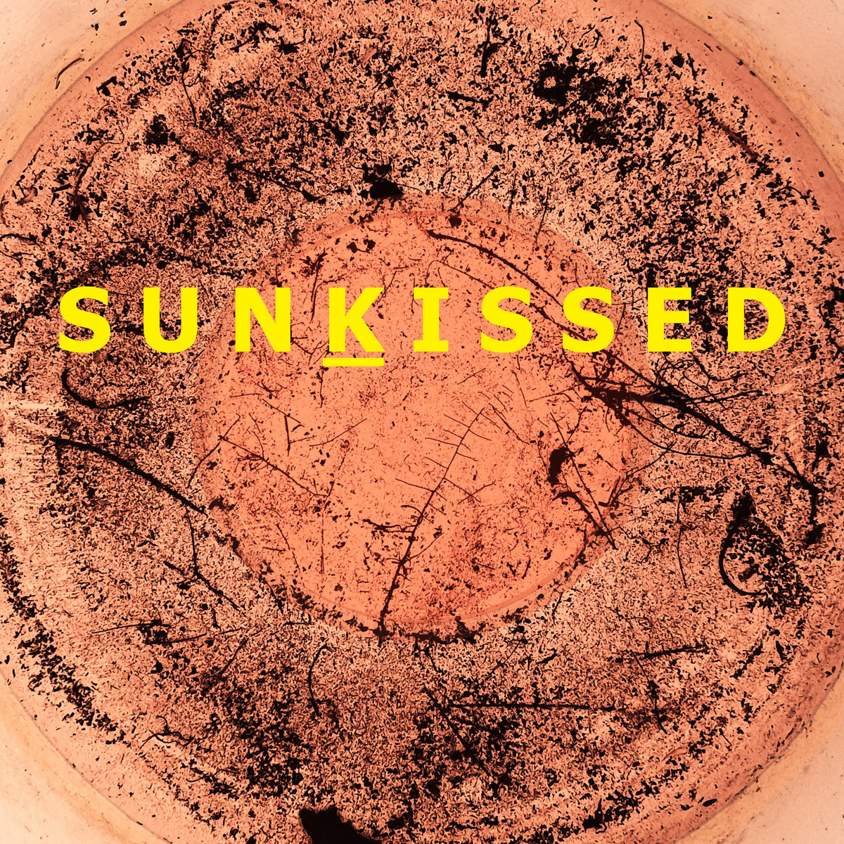 GUITAR / SUNKISSED レコード GUITAR / Sunkissed (LP) - RECORD SHOP FILE-UNDER