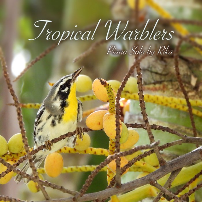 Tropical Warblers cover art