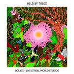 Solace ~ Live at Real World Studios