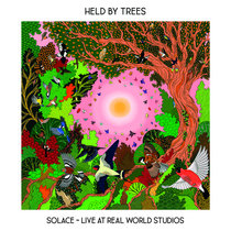 Solace ~ Live at Real World Studios cover art