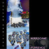 Hurricane Florence Cover Art