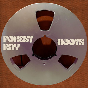 Boots cover