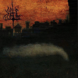 Sleep Torture — Take Me To the Bottom/Leave Me There