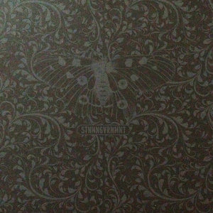 Remarkable CitizenSTNNNGVRNMNT cover