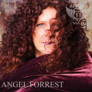 Angel Forrest — Angel's 11 vol II