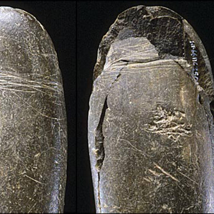 historical sex toys A century of sex toys main image 1